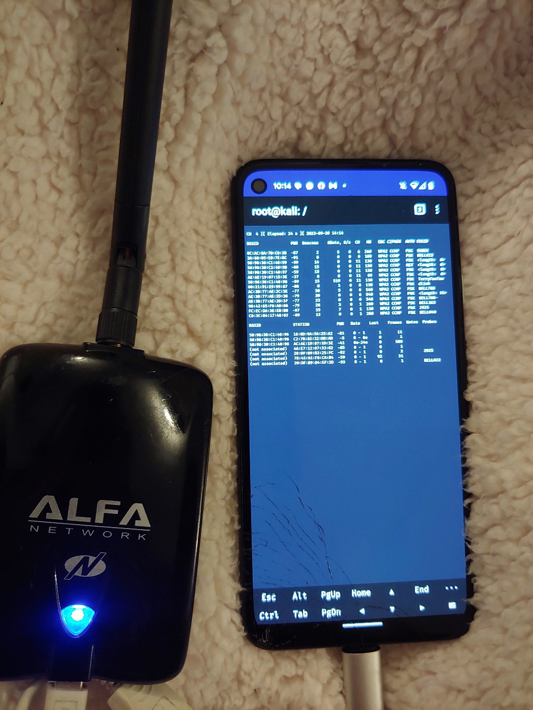 Airodump-ng capture in progress